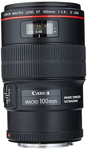 Canon 100 mm Macro