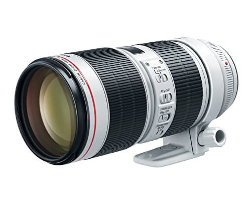 Canon 70 – 200 mm