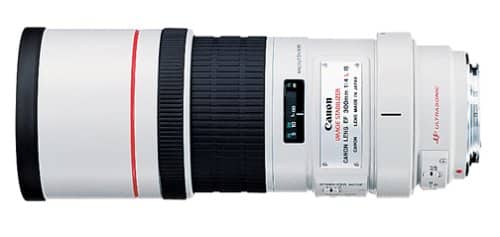 Canon EF 300 mm f/2.8 L IS II USM Super Telephoto Lens
