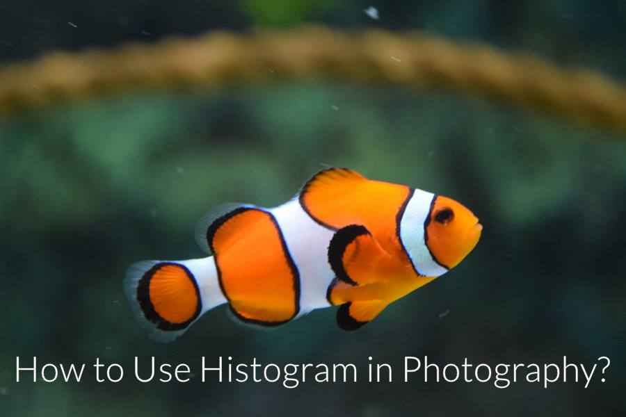 How to Use Histogram in Photography?