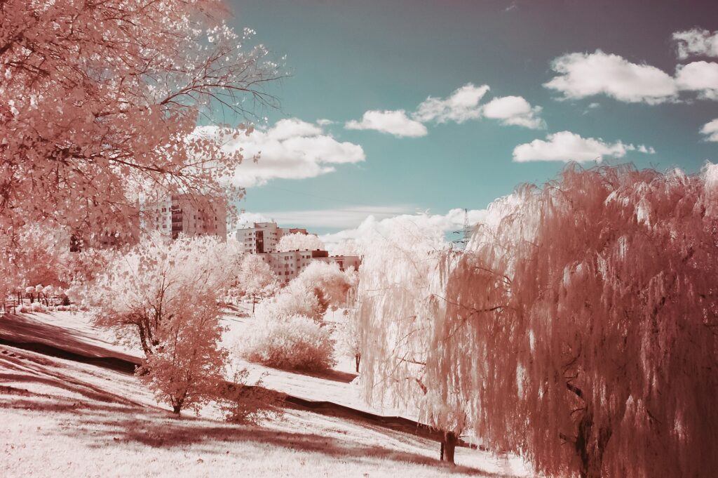 Infrared Photography