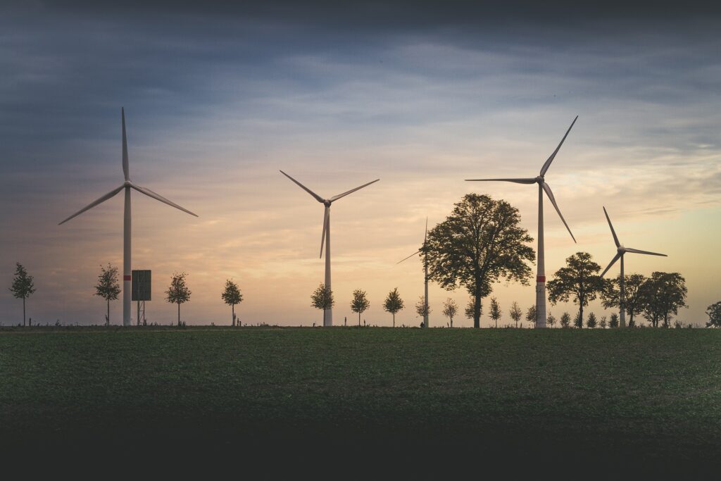 Environmental Portraits in Photography