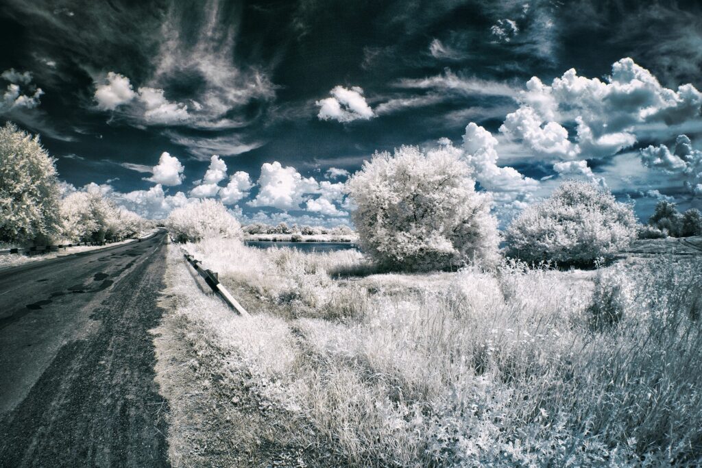 Infrared Photography