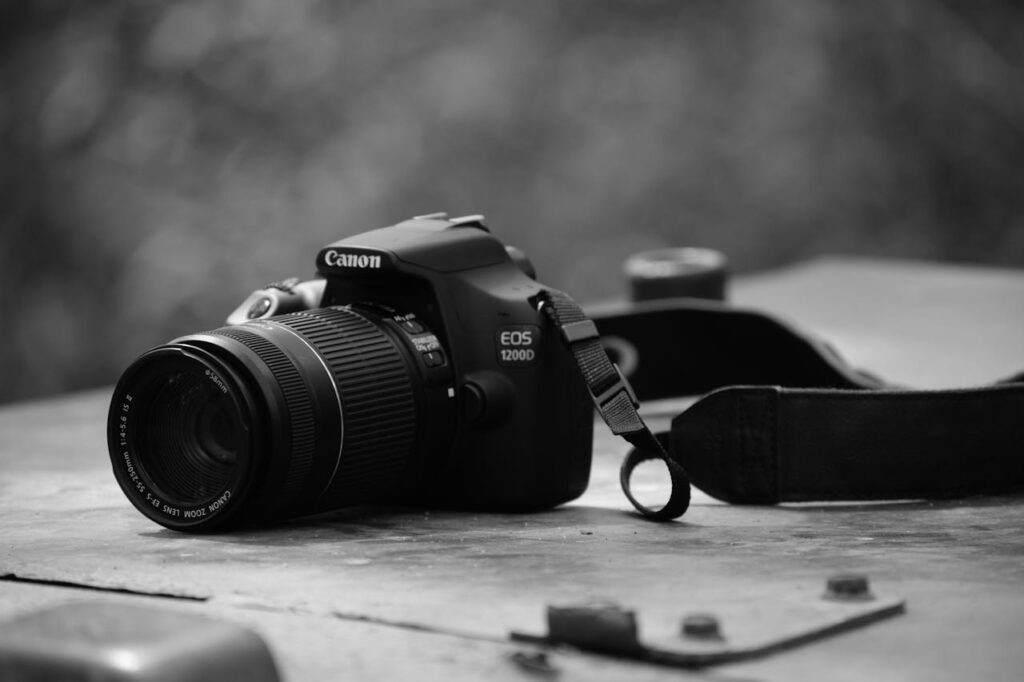 The Timeless Charm of the Canon 500D: A Journey into Picture Quality